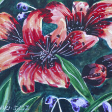 Czerwone Lilie akwarela kwiaty, kwiaty czerwone Czerwone Lilie akwarela kwiaty, kwiaty czerwone