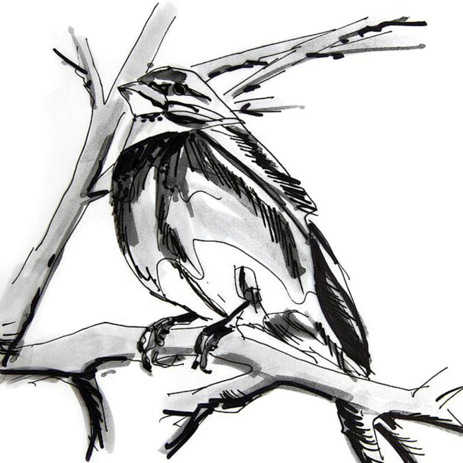 Szkice, rysunki Andrzej Bączkowski